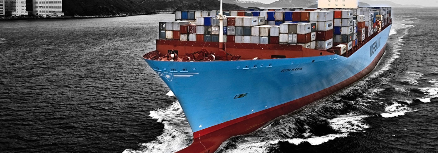 Triple Star Cargo — Freight Forwarding & Logistics in Dubai